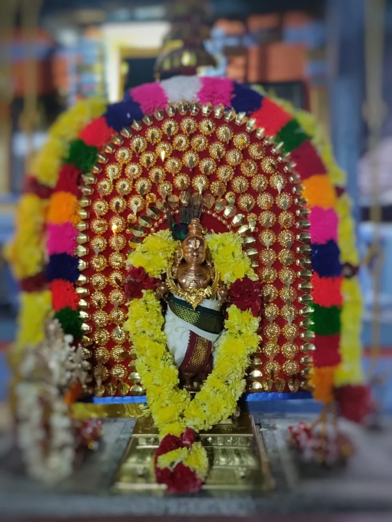 Sri Navaneetha Krishna Swamy